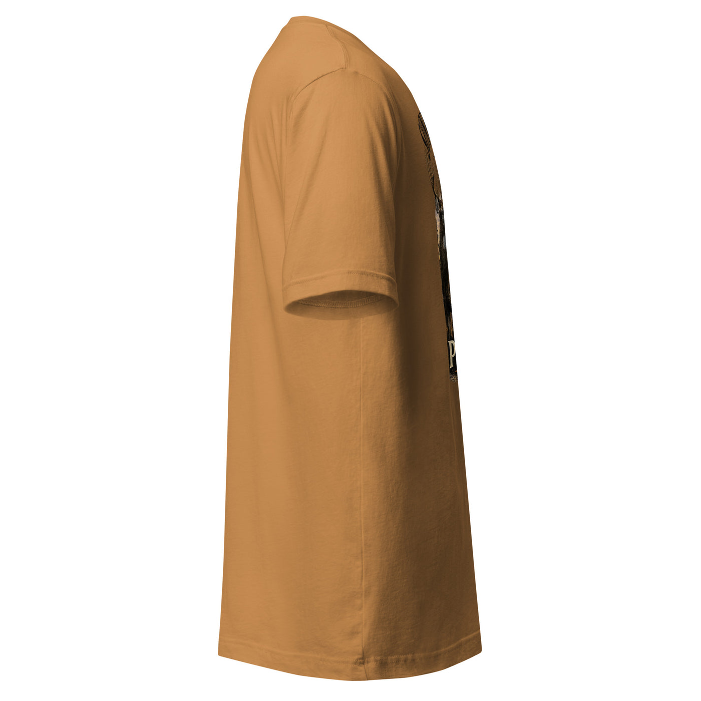 Sunrise Alarm